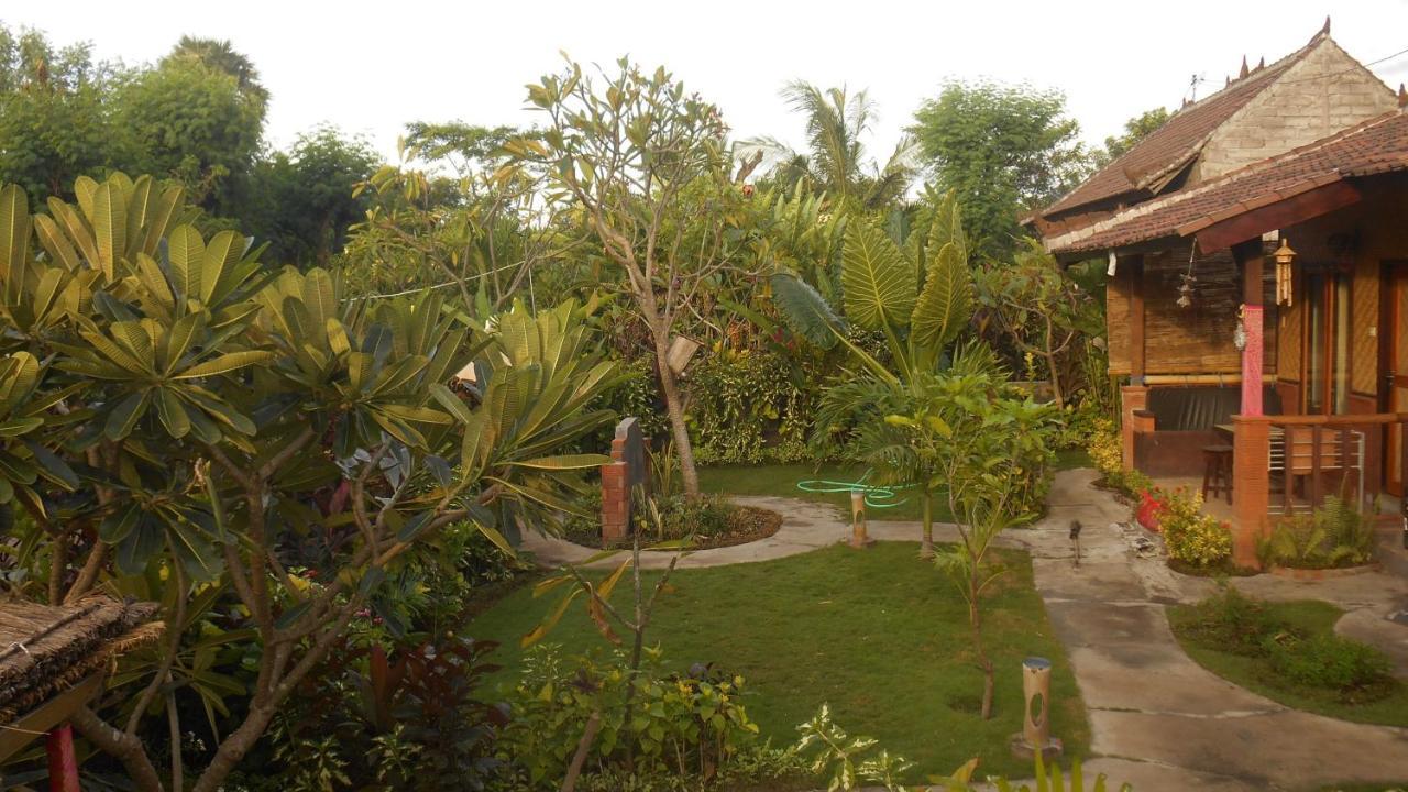 Taman Menjangan Homestay By Snorkelingmenjangan Banyuwedang Exterior foto