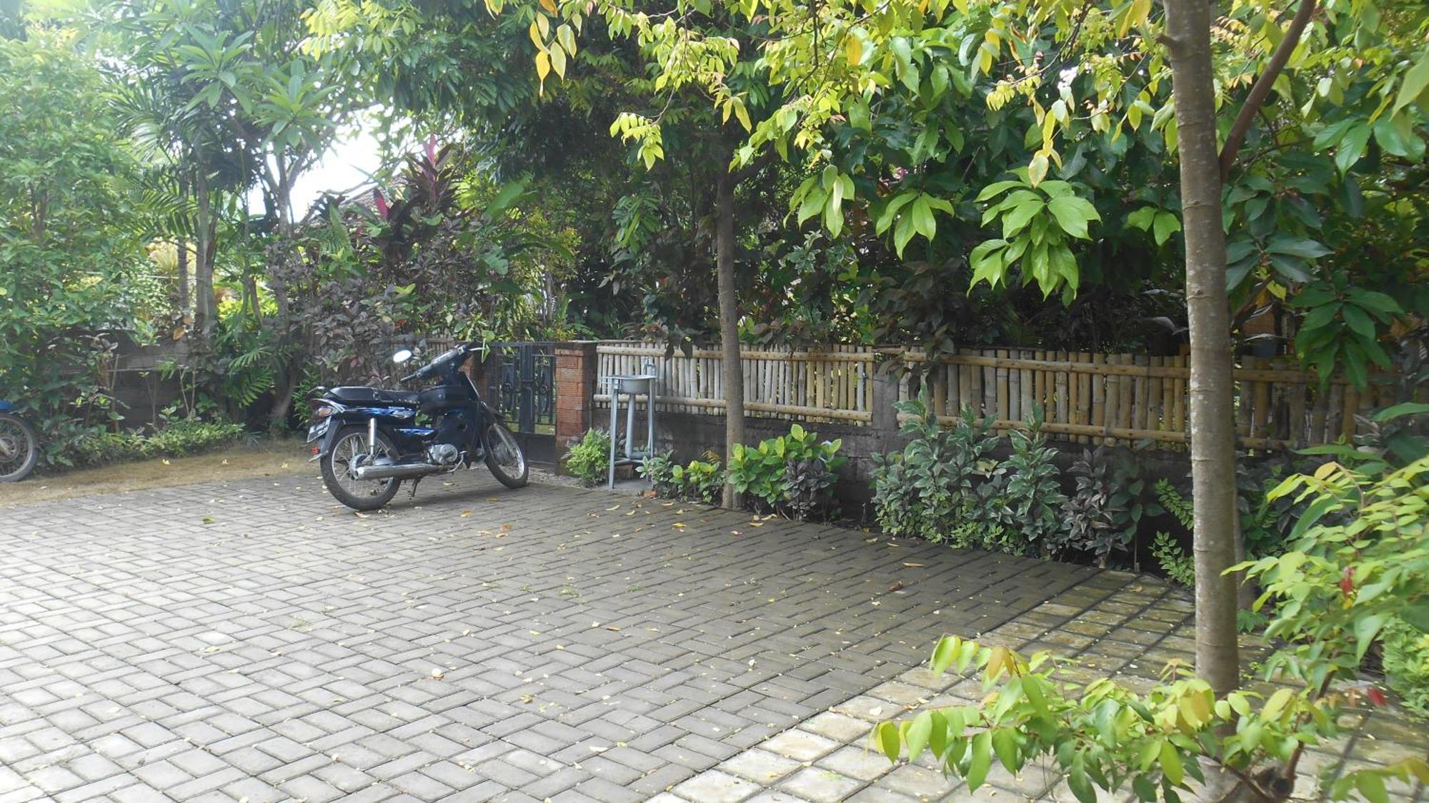 Taman Menjangan Homestay By Snorkelingmenjangan Banyuwedang Exterior foto
