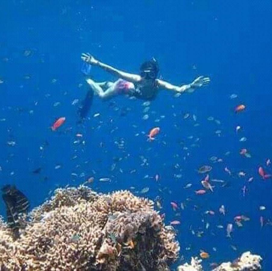 Taman Menjangan Homestay By Snorkelingmenjangan Banyuwedang Exterior foto
